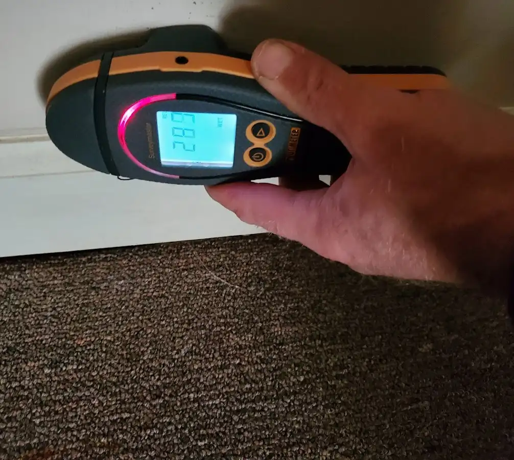 Moisture detection at baseboard during Mold Inspection & Testing in Lemoore